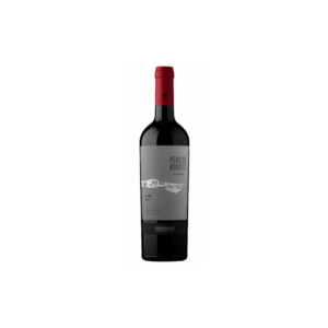 PENEDO BORGES CEPAS MALBEC SINGULAR 2021