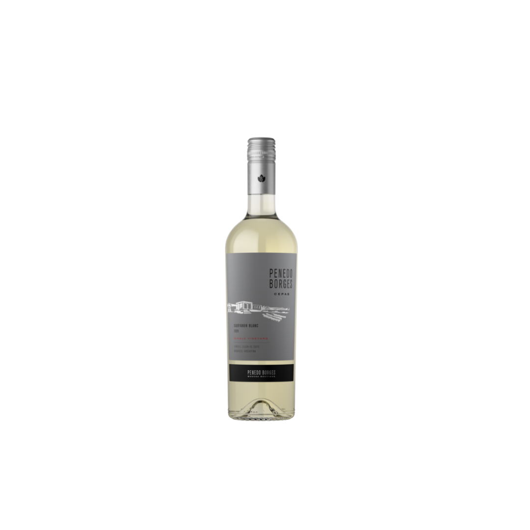 PENEDO BORGES CEPAS SAUVIGNON BLANC 2021